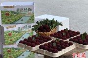 六爻简介高速赋能产业升级：一条“杨梅路”的致富密码